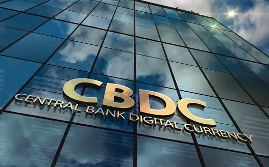 Understanding Central Bank Digital Currency